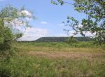 305 acres in Taylor and Runnels County