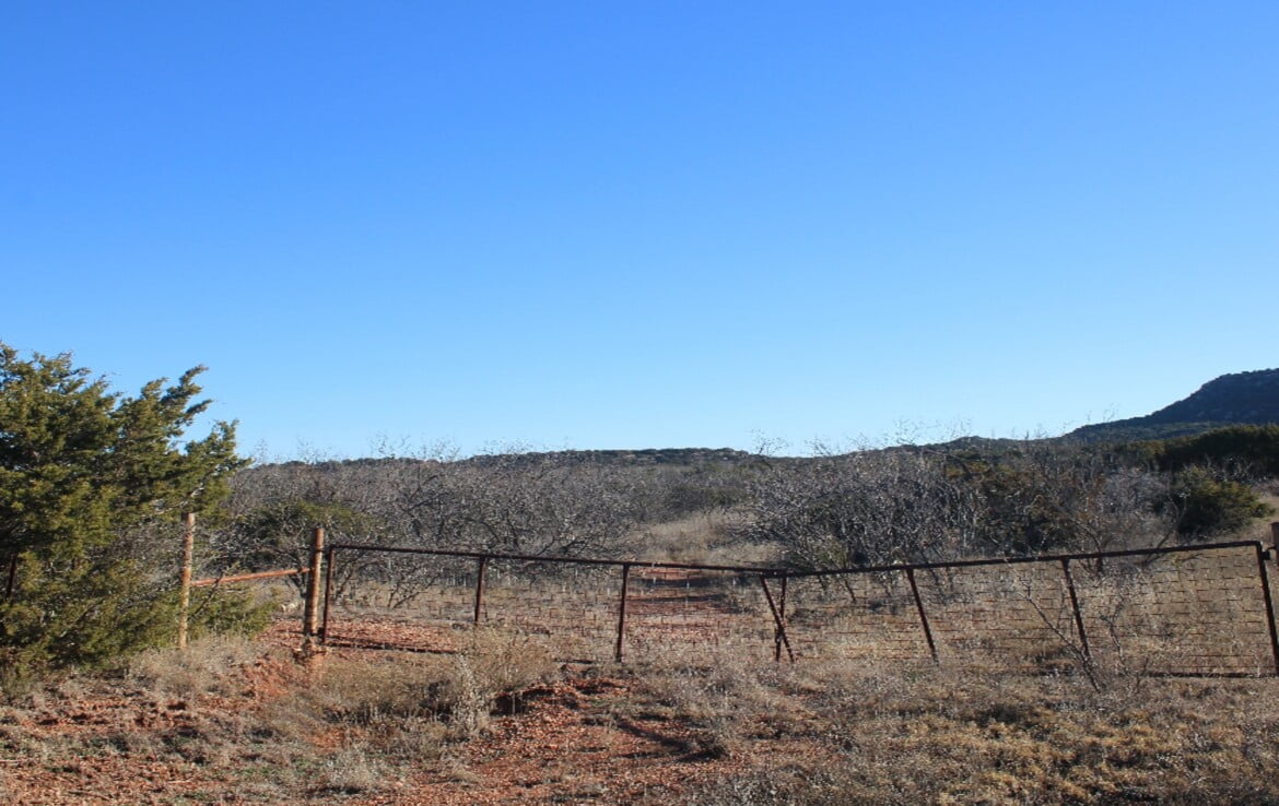 305 acres in Taylor and Runnels County Texas Hunting Land LLC