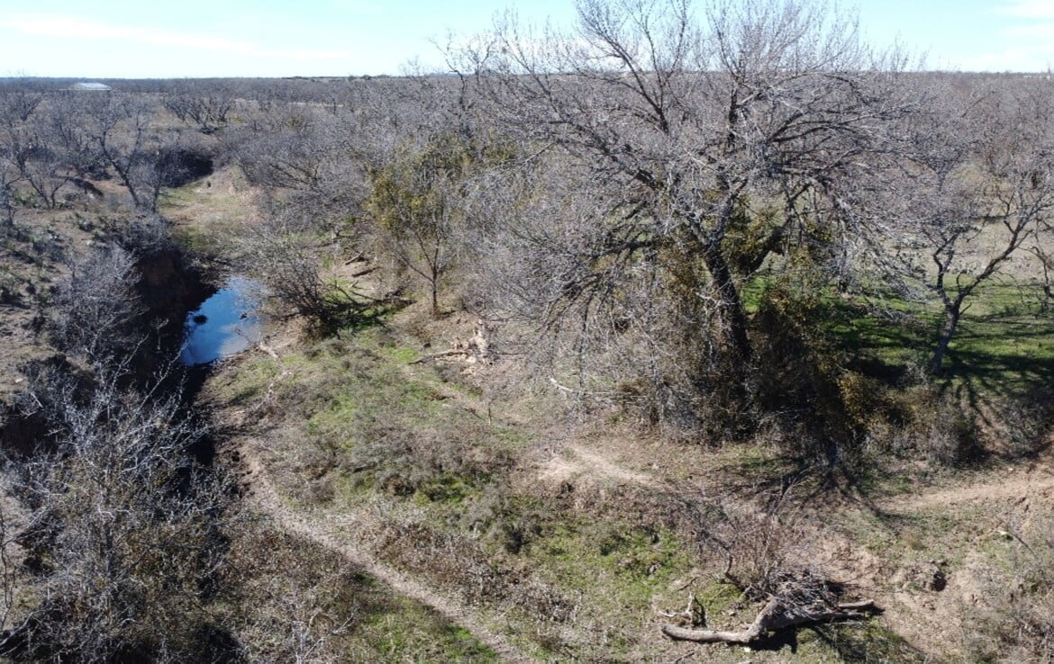 200 acres in Taylor and Runnels County Texas Hunting Land LLC