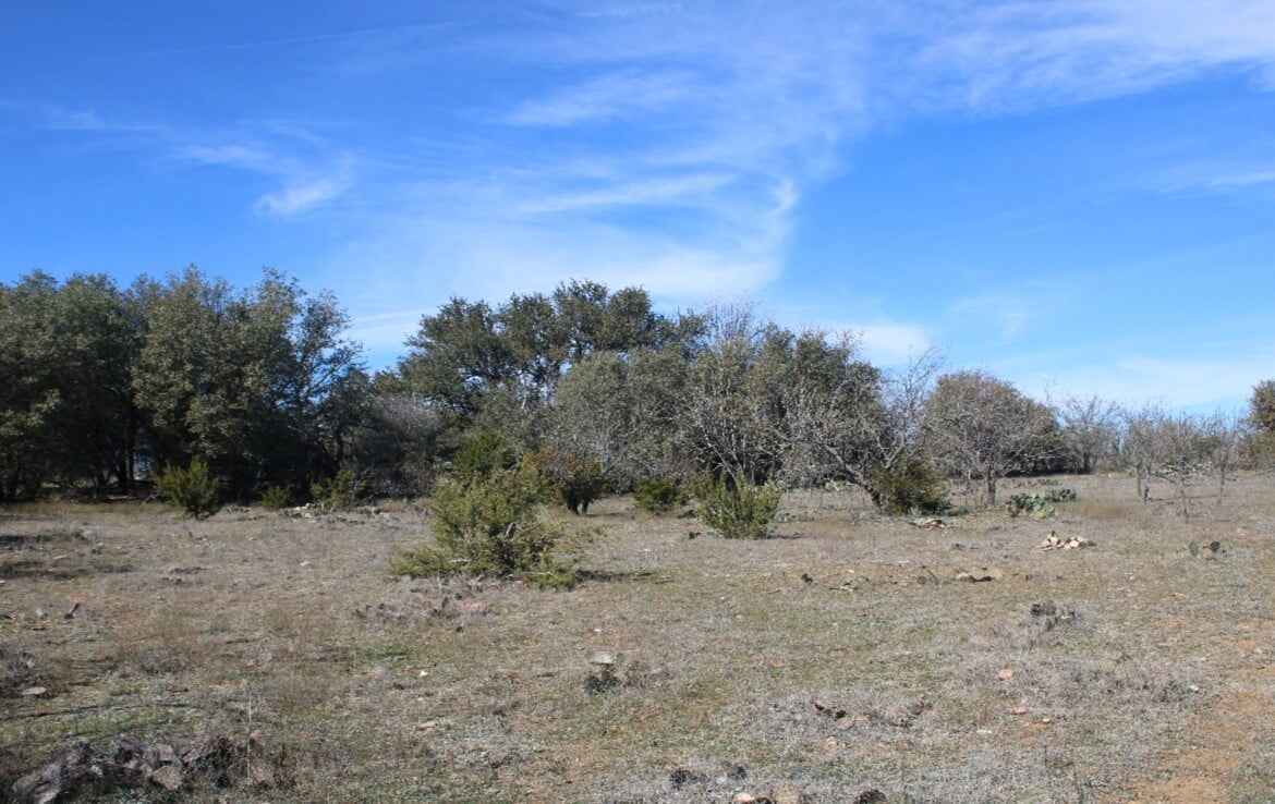 200 acres in Taylor and Runnels County Texas Hunting Land LLC
