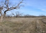 80 acres in Coleman County