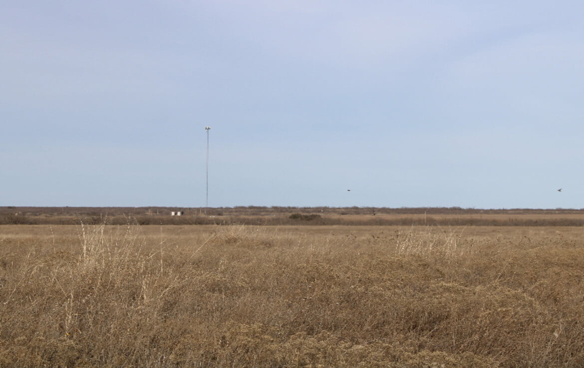 80 acres in Coleman County