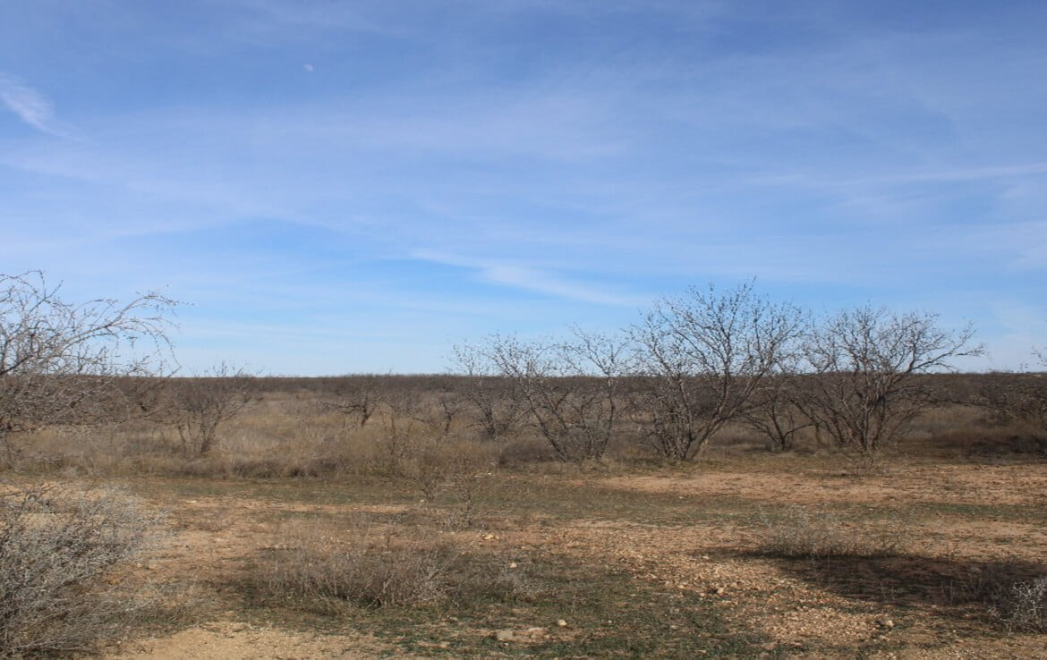 80 acres in Coleman County