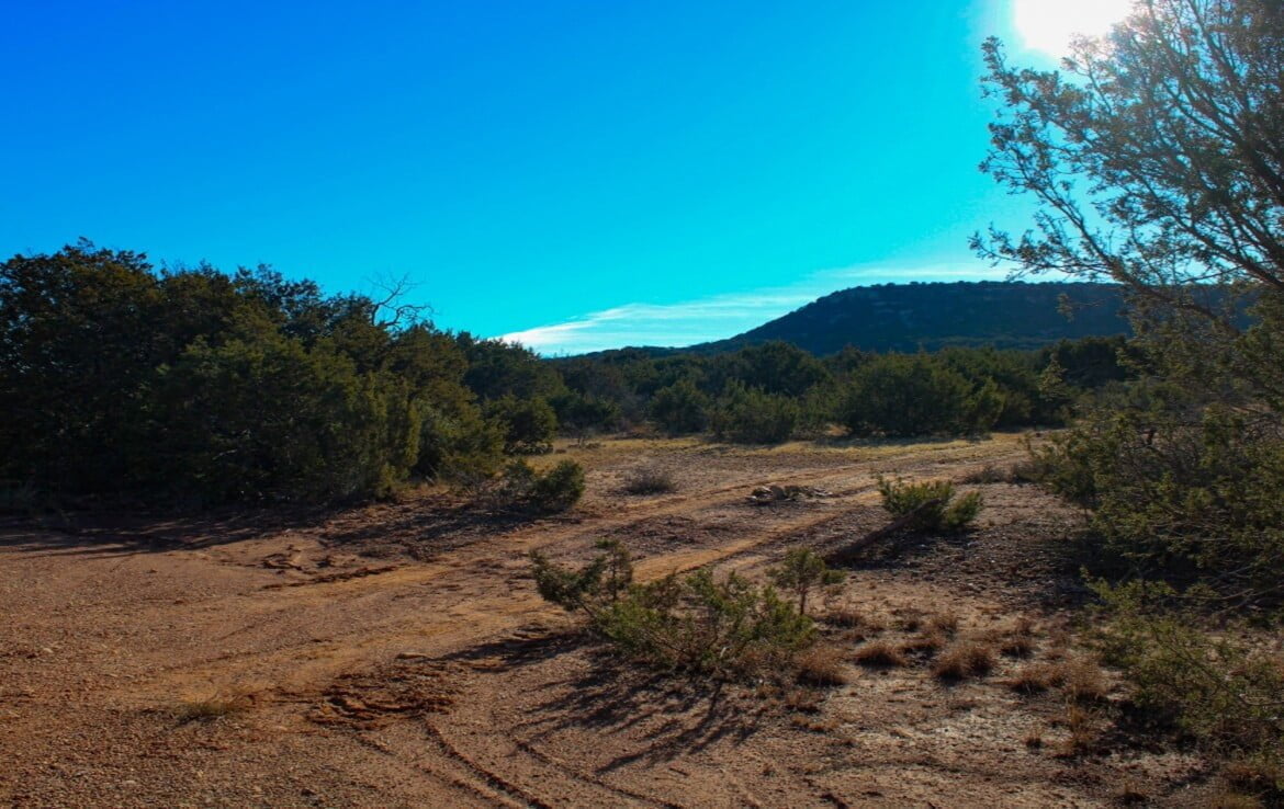 305 acres in Taylor and Runnels County Texas Hunting Land LLC