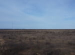80 acres in Coleman County