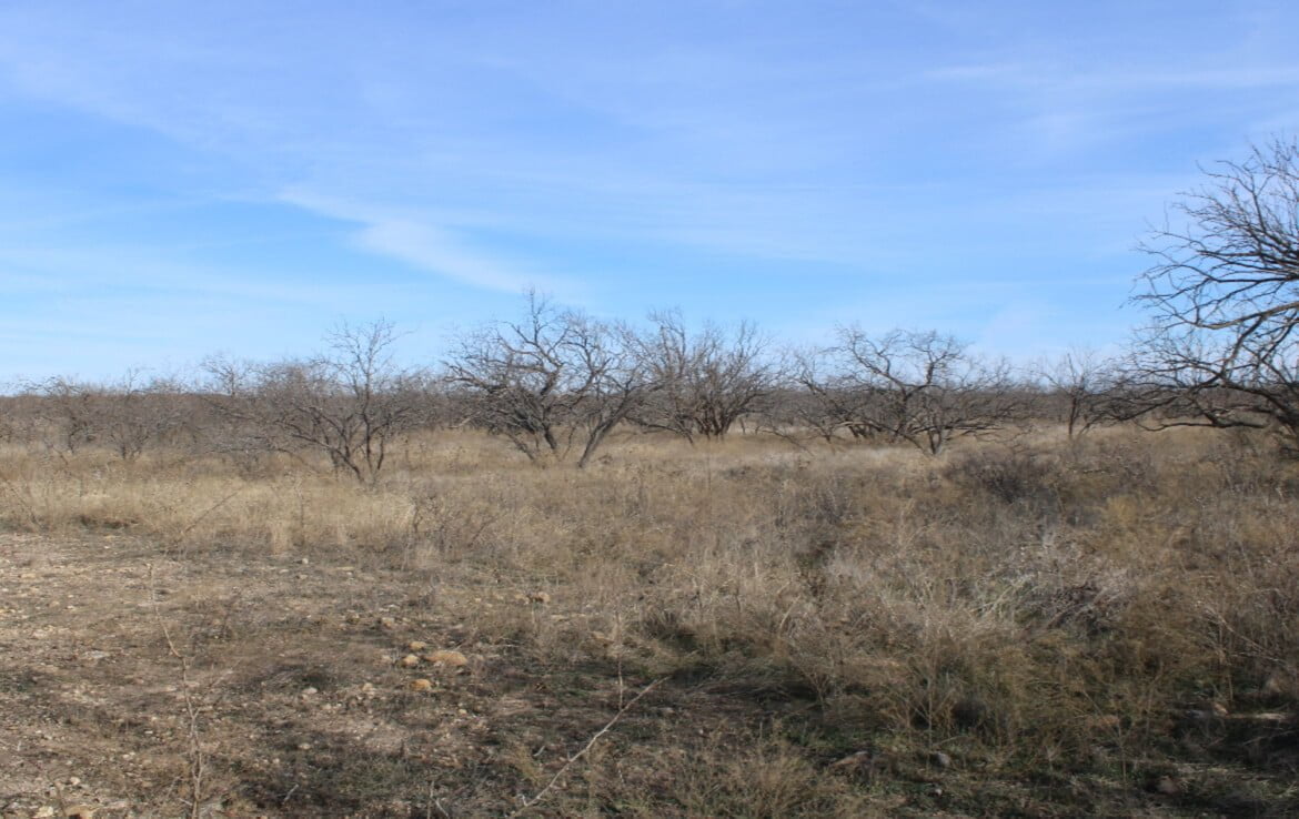 80 acres in Coleman County