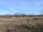 80 acres in Coleman County