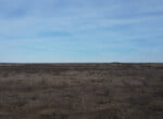 80 acres in Coleman County