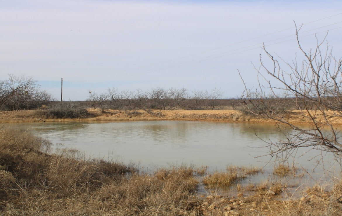 80 acres in Coleman County