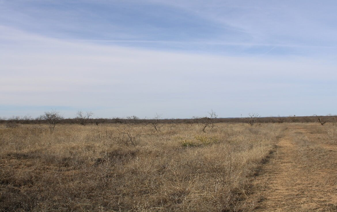 80 acres in Coleman County