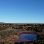 305 acres in Taylor and Runnels County