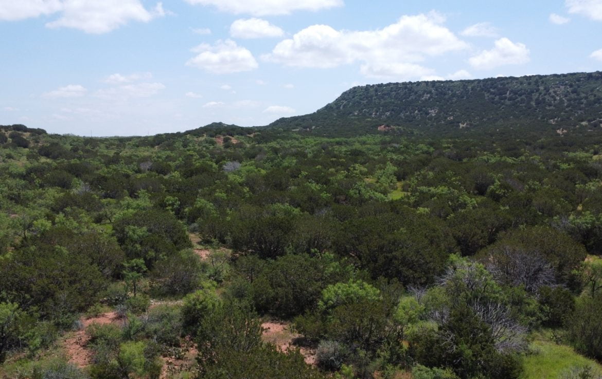 305 acres in Taylor and Runnels County