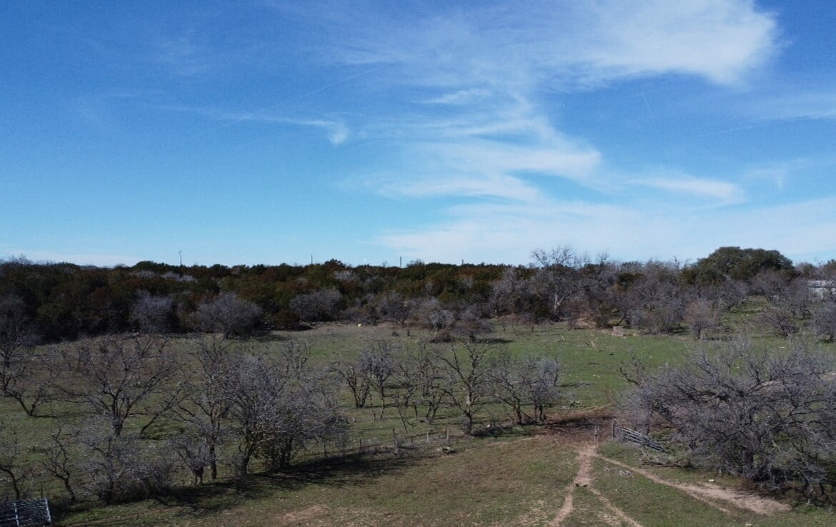 200 acres in Taylor and Runnels County Texas Hunting Land LLC