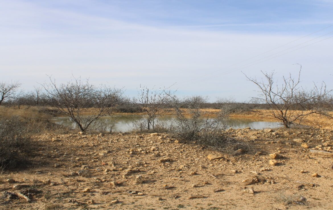 80 acres in Coleman County