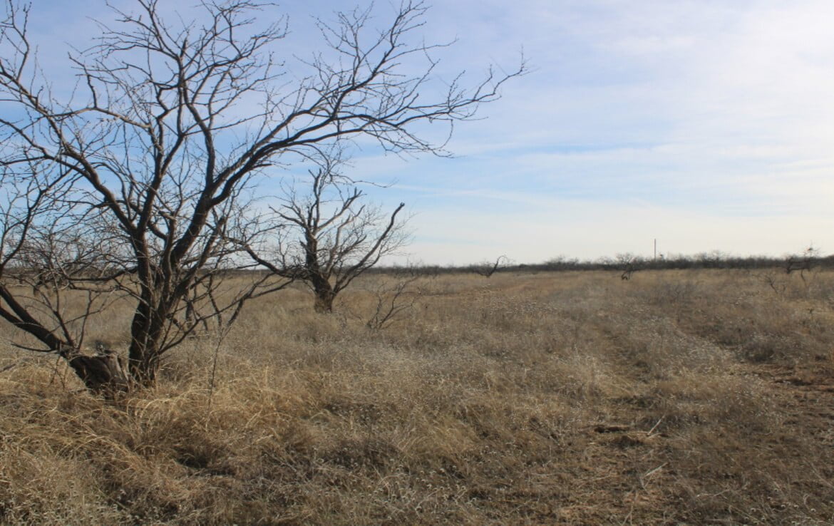 80 acres in Coleman County
