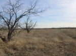 80 acres in Coleman County