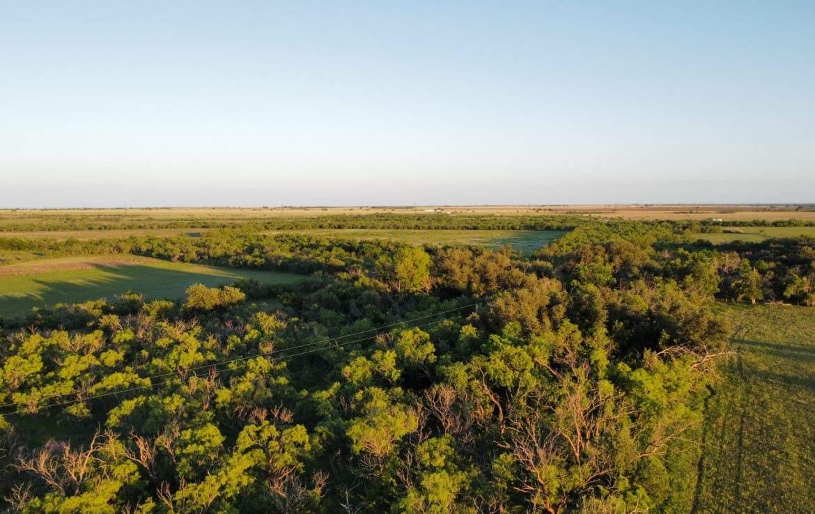 200 acres in Taylor and Runnels County