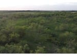 200 acres in Taylor and Runnels County