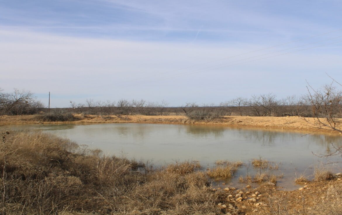 80 acres in Coleman County