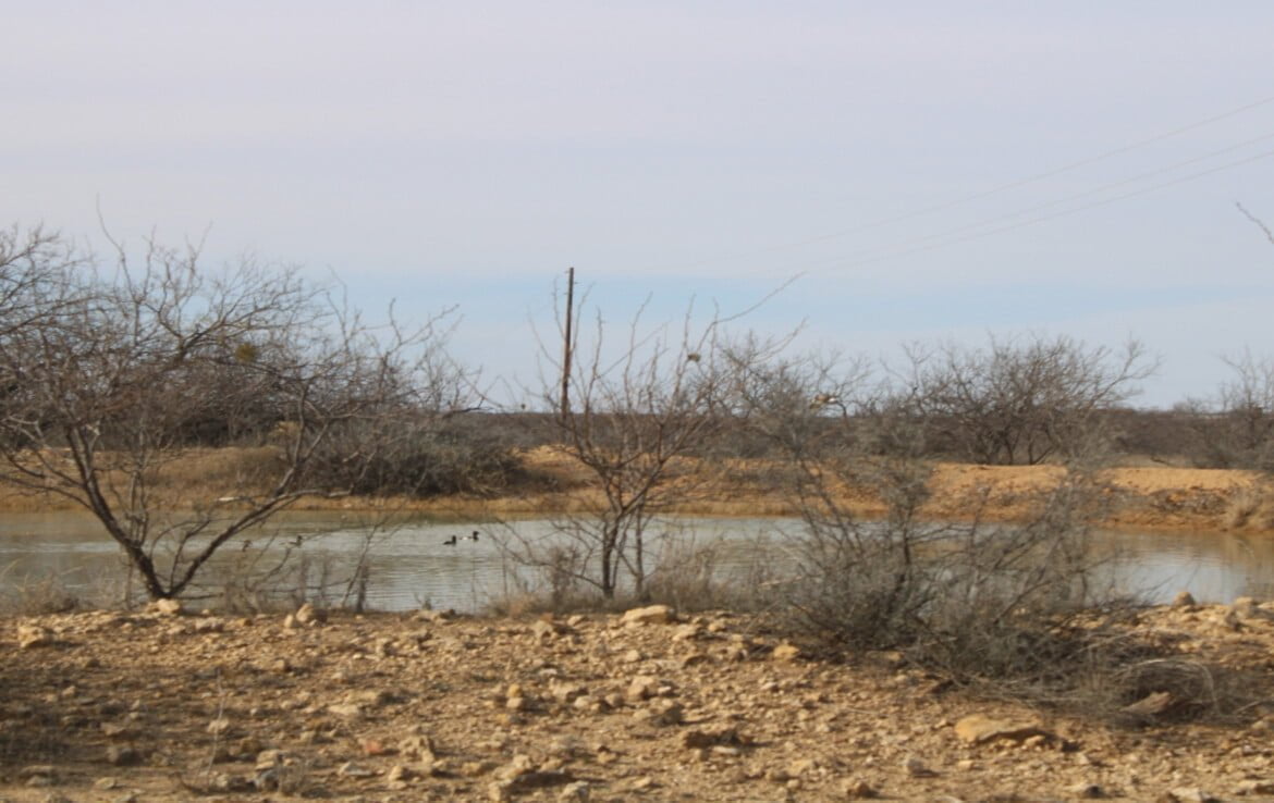 80 acres in Coleman County