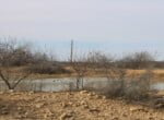 80 acres in Coleman County
