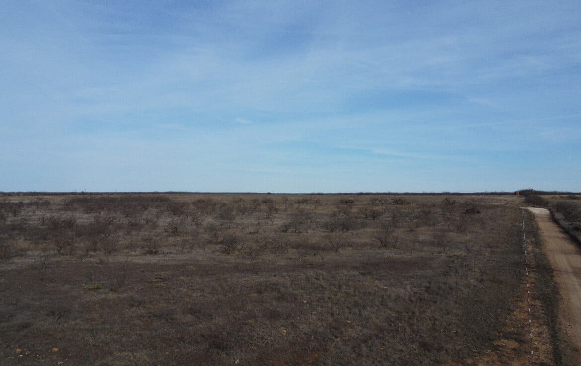80 acres in Coleman County