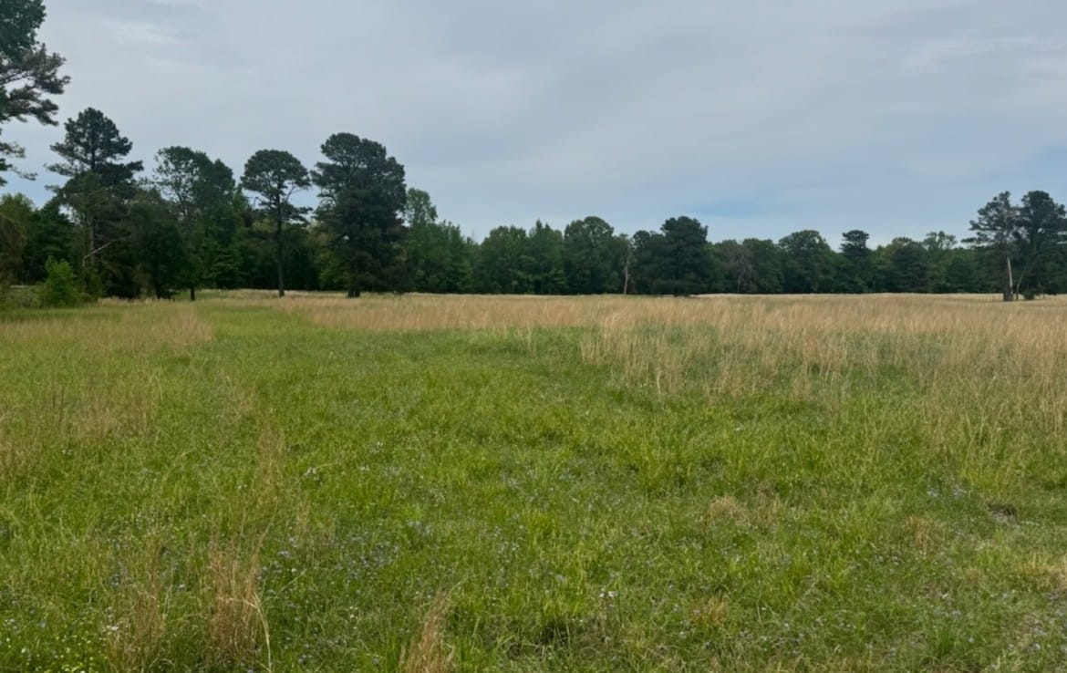 128 acres in Red River County