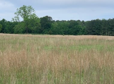 104 acres in Red River County