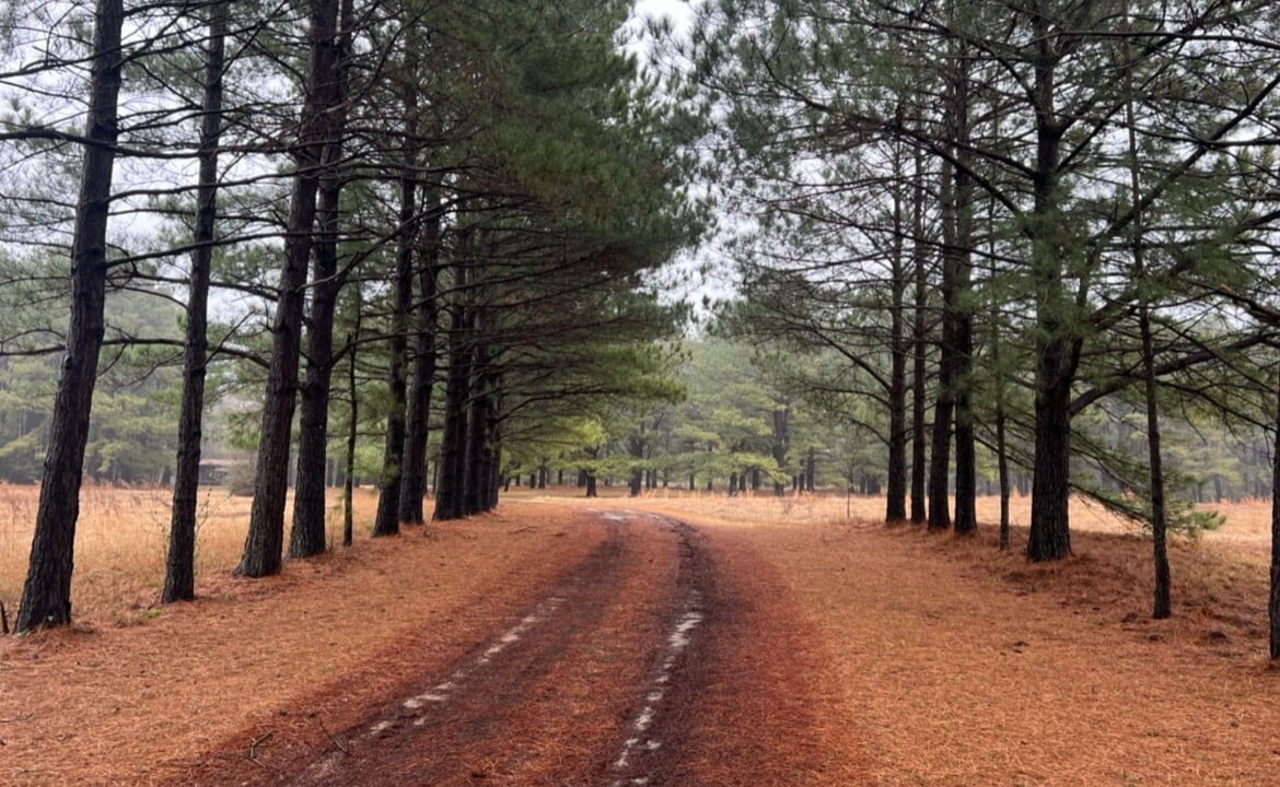 48 acres in Red River County