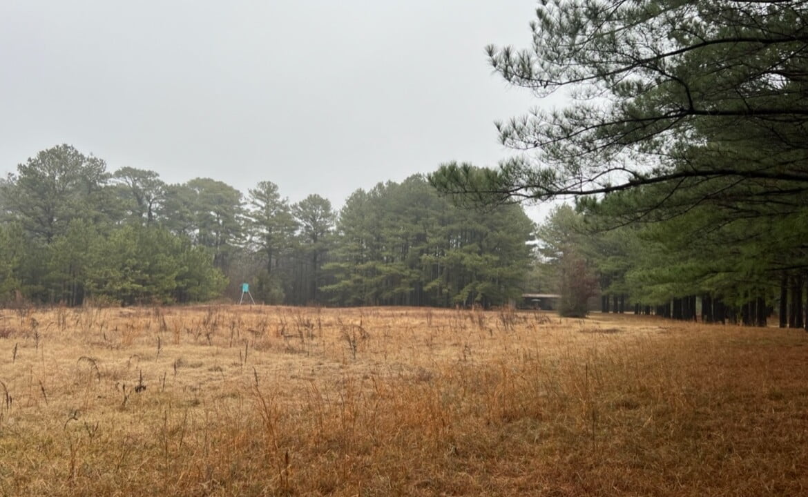 31 acres in Red River County