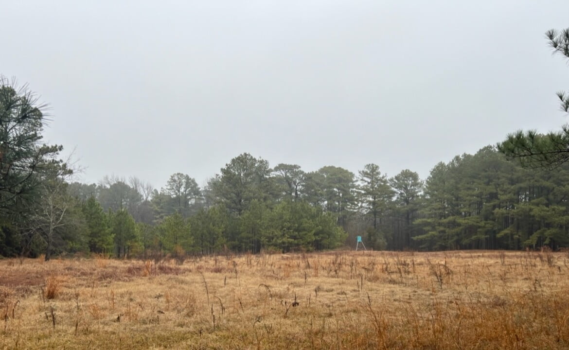 31 acres in Red River County