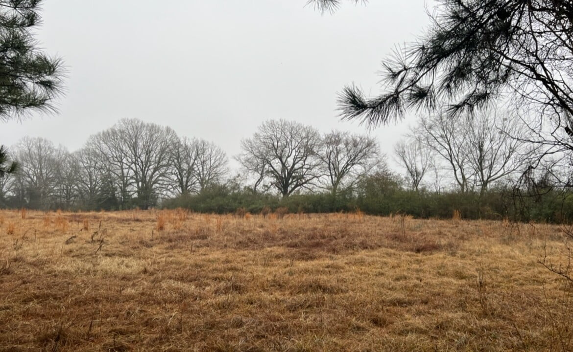 48 acres in Red River County