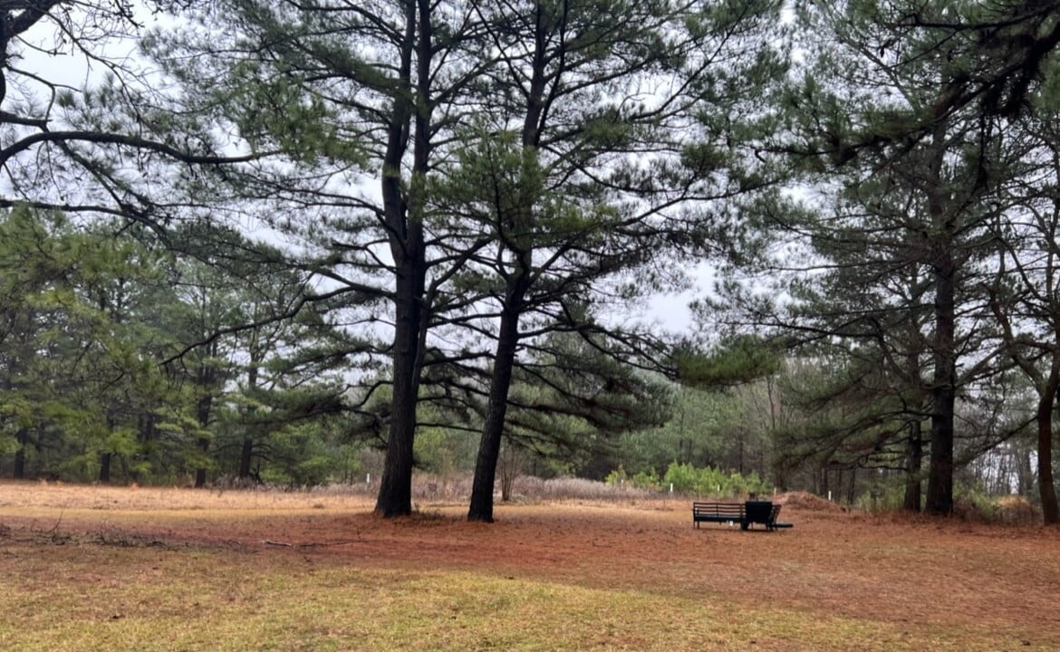 31 acres in Red River County