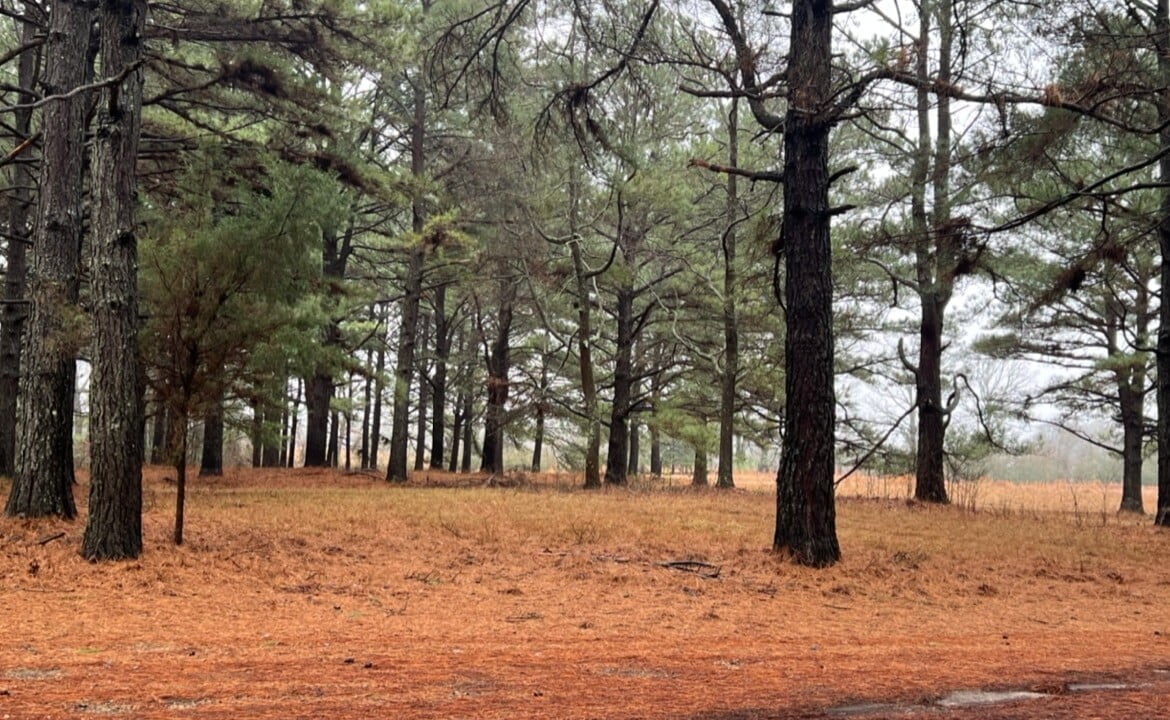 48 acres in Red River County