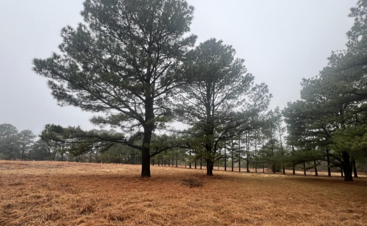 48 acres in Red River County