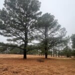 48 acres in Red River County