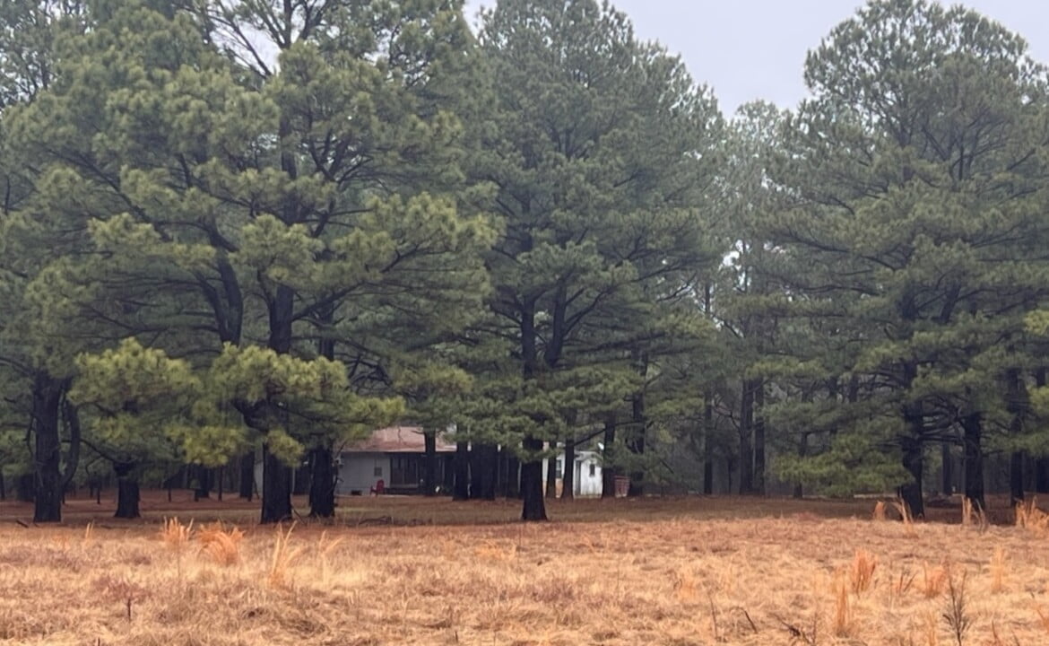 31 acres in Red River County