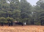 31 acres in Red River County