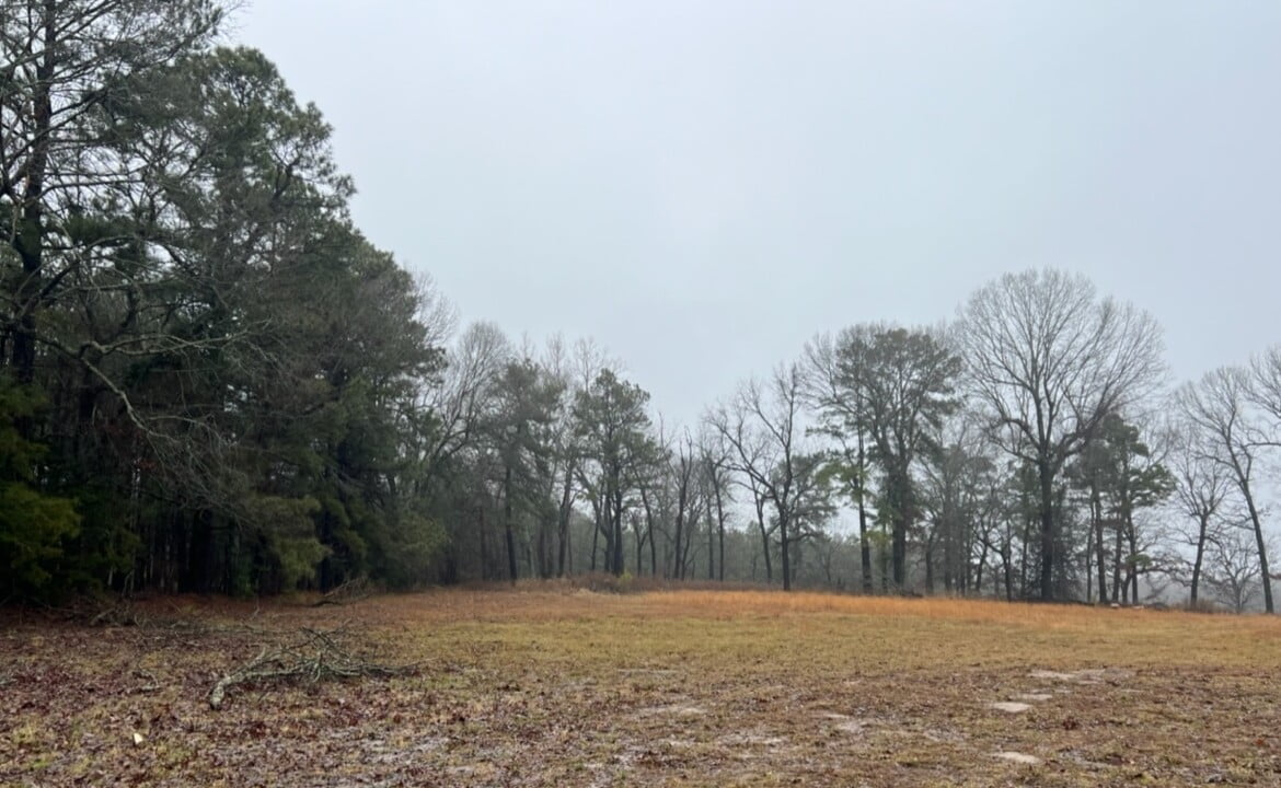 31 acres in Red River County