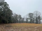 31 acres in Red River County