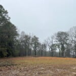 31 acres in Red River County
