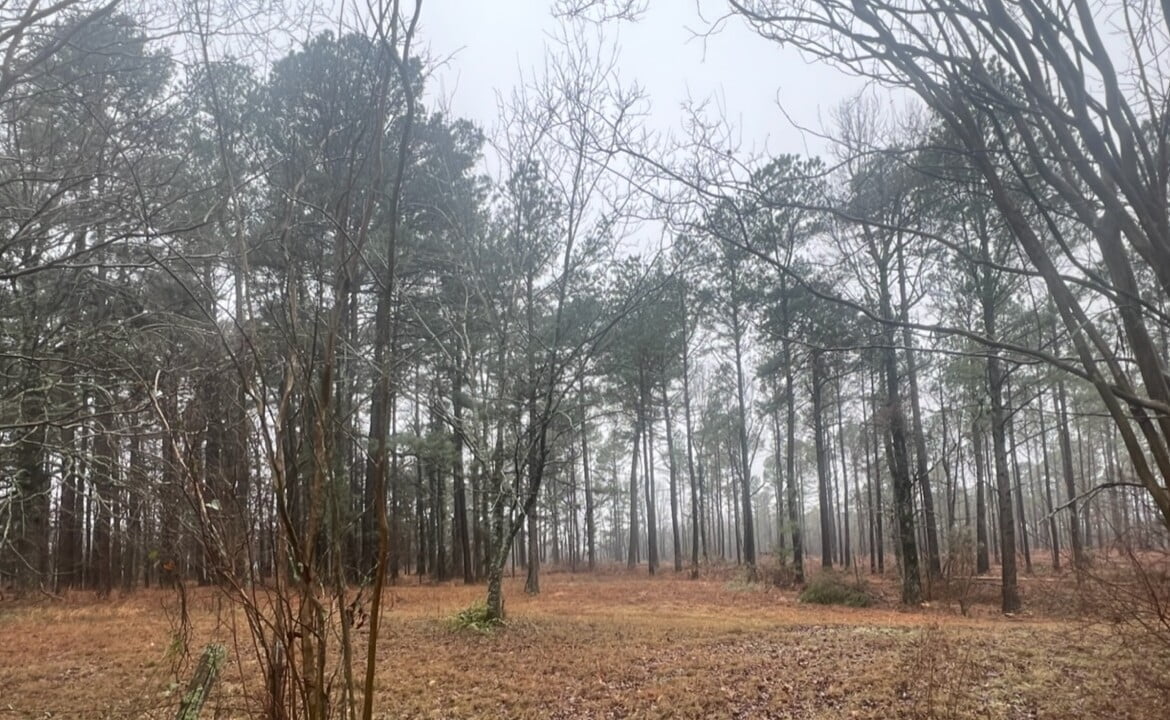 31 acres in Red River County