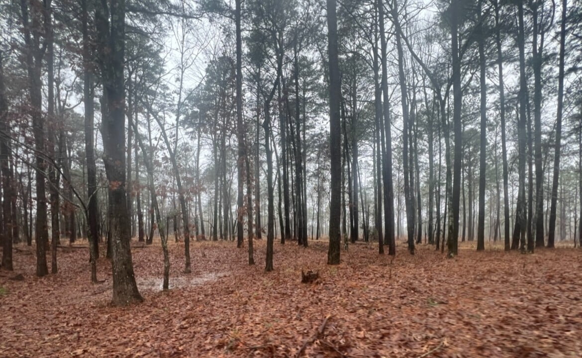 31 acres in Red River County