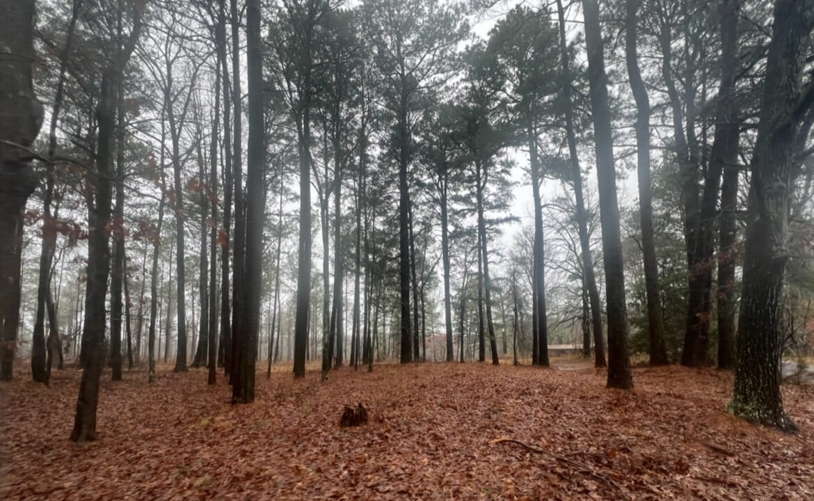 31 acres in Red River County