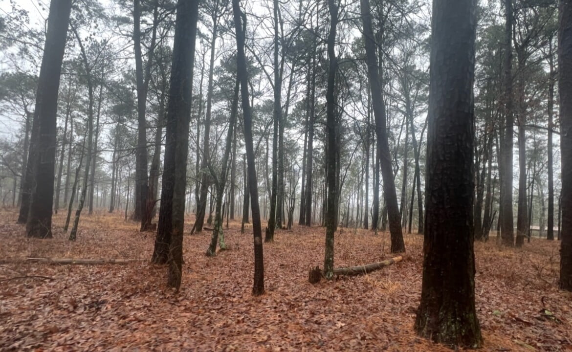 31 acres in Red River County