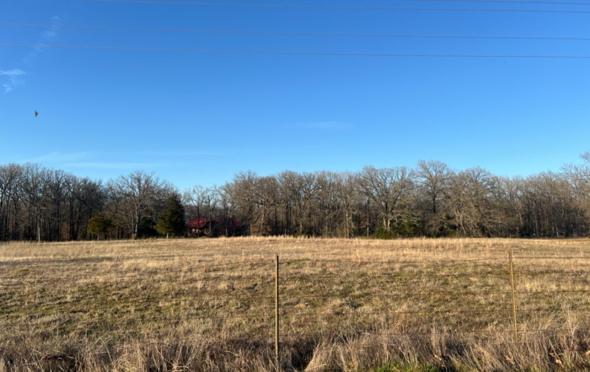 11 acres in Titus County