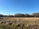 11 acres in Titus County