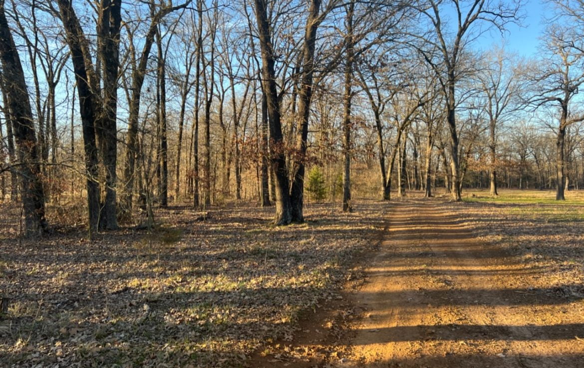 11 acres in Titus County