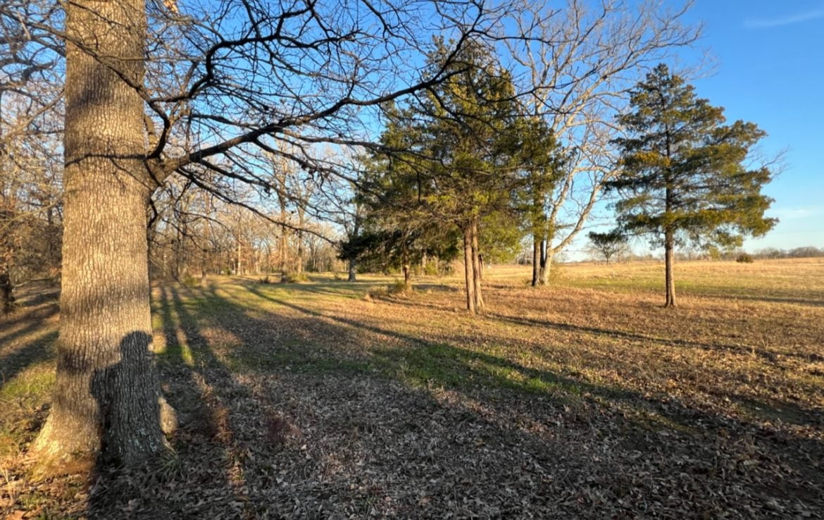 11 acres in Titus County