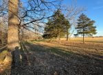11 acres in Titus County